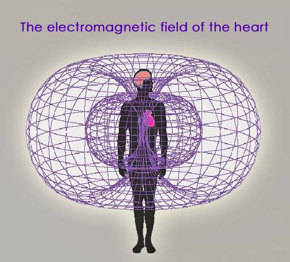 The electromagnetic field of the heart